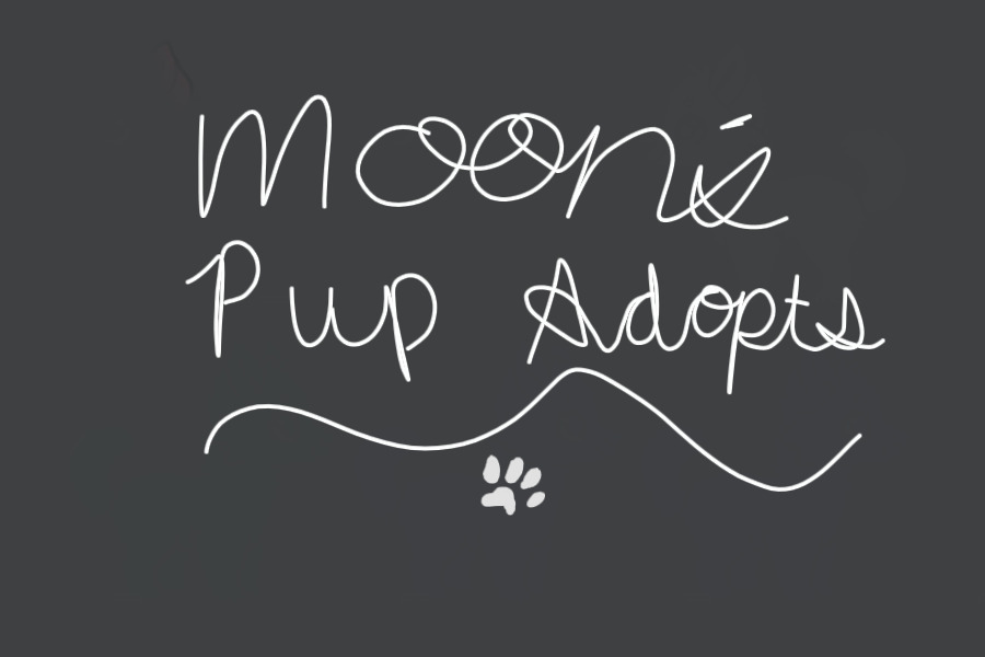 :: moon's pup adopts.