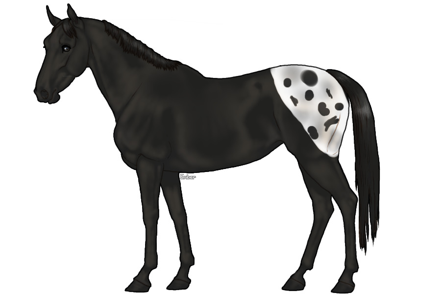Eternitys horse