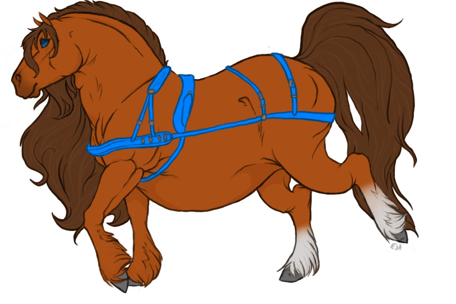 #005 Reamhar Draught Horse