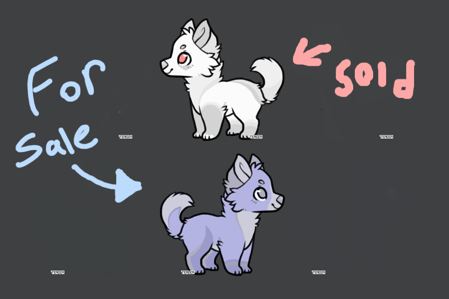 Adoptable pup for sale