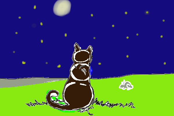 Moon cat