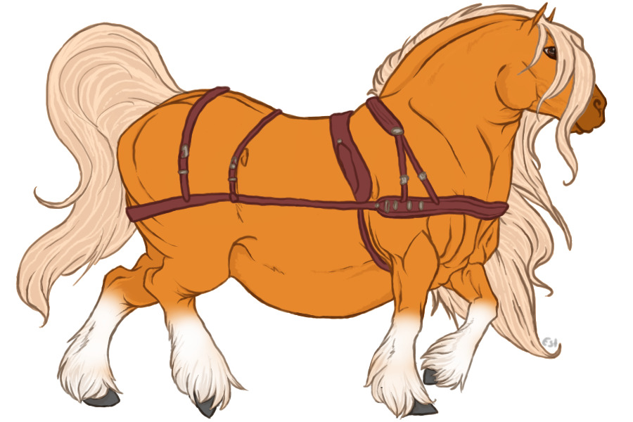 #007 Reamhar Draught Horse