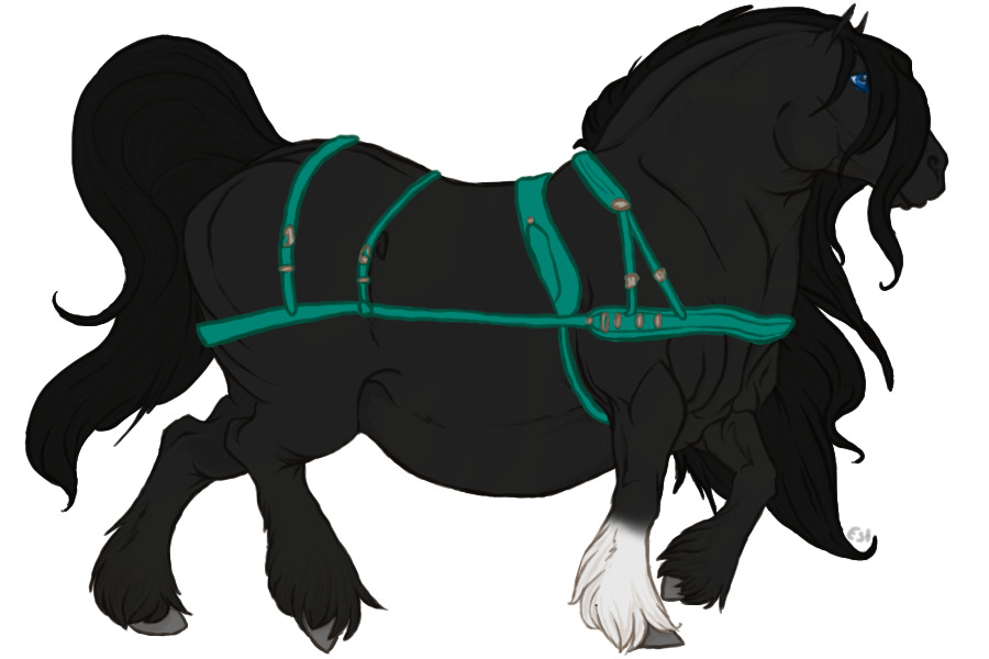 #008 Reamhar Draught Horse