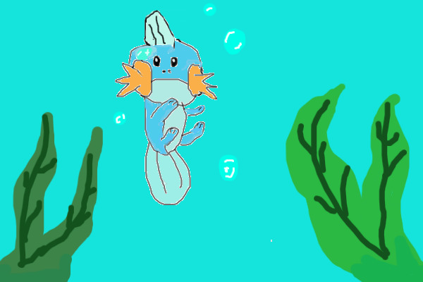 Mudkip!