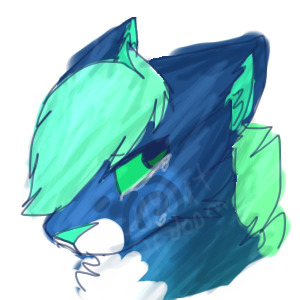 something for a contest