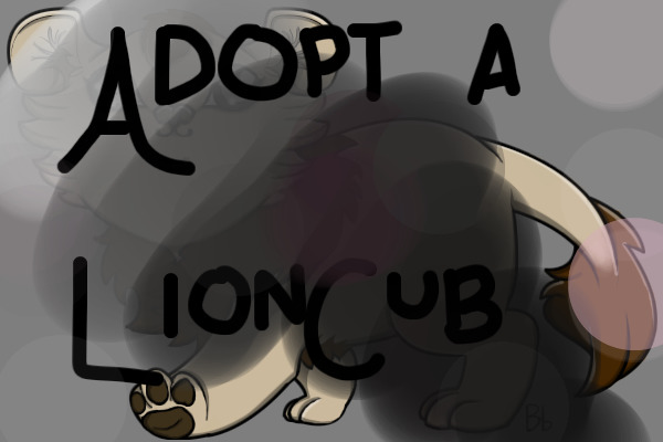 Adopt a Pet Lion!