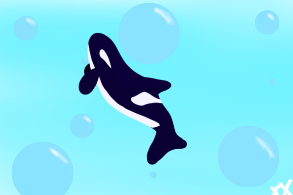 MORE WHALE!