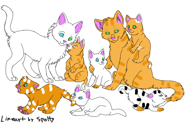 Colour in cats