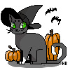 Spooky avatar