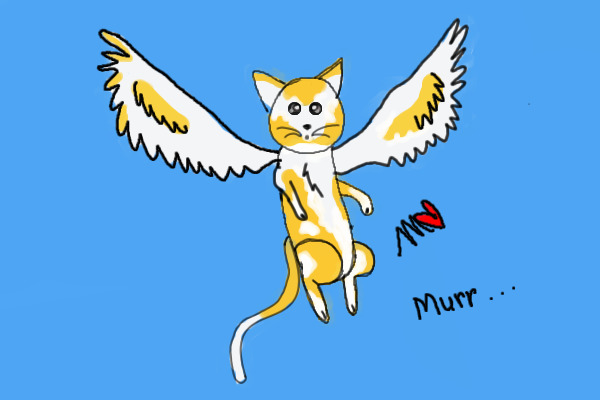 Neko))