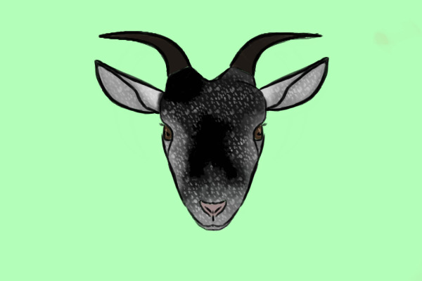 How do you feel about goats?