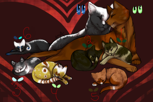 Butterflywing x Quince