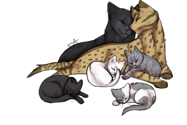 Wolfheart x Brightflower + Fallensky, Echoshine + Whitewing