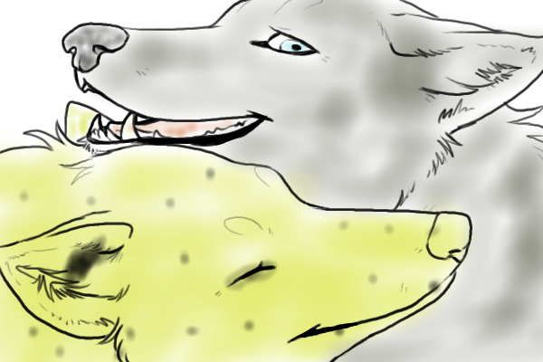 Two wolf friends