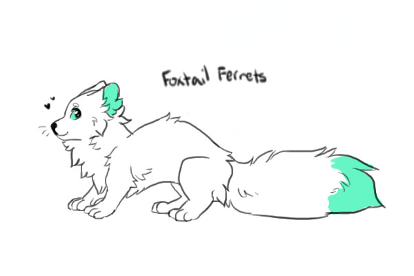 Foxtail Ferrets
