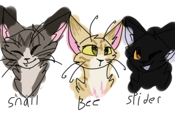 nya have some warrior ocs