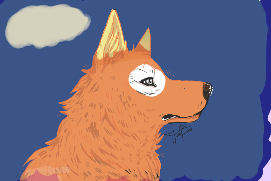 Candy Dog