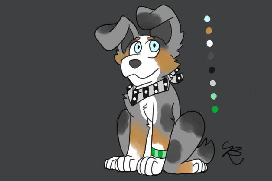 Pride Pup for Chipackerz