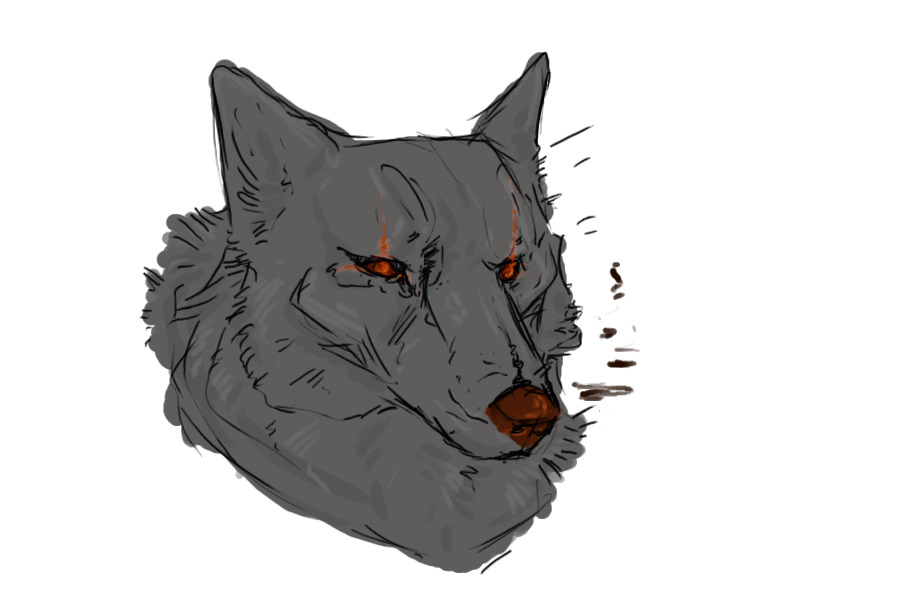 rocco for darkwolfpuppi