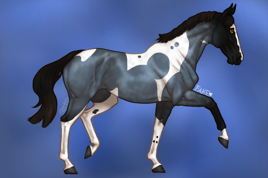 entry 1 - blue roan tobiano