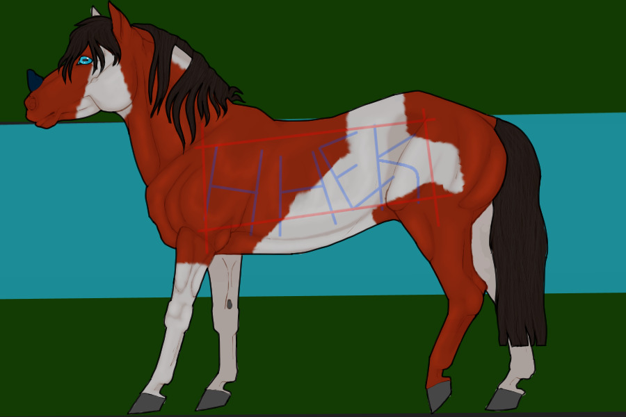 Equus Keras #3