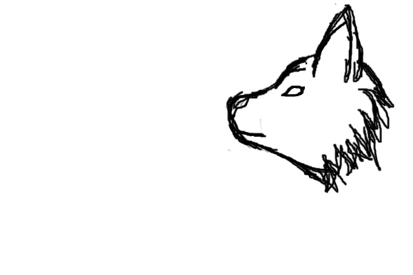 Wolf's head