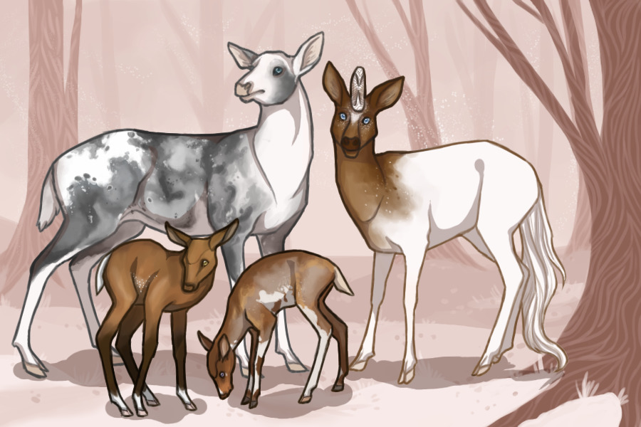 deer commission
