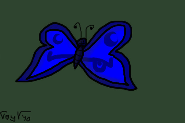 Blue face butterfly