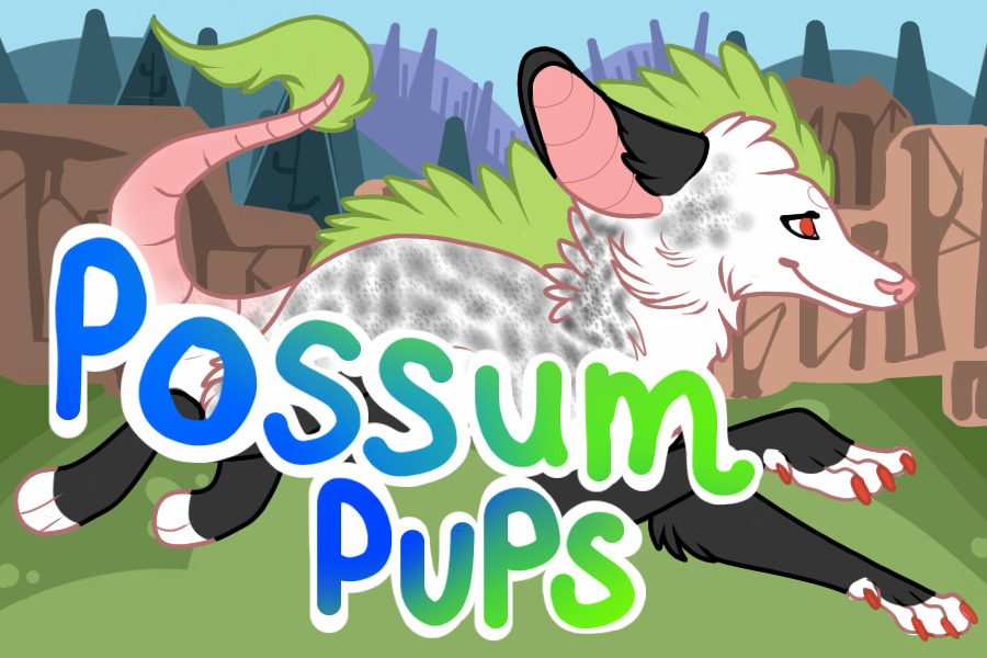 Possum Pups