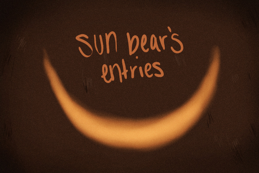sun bear's entries