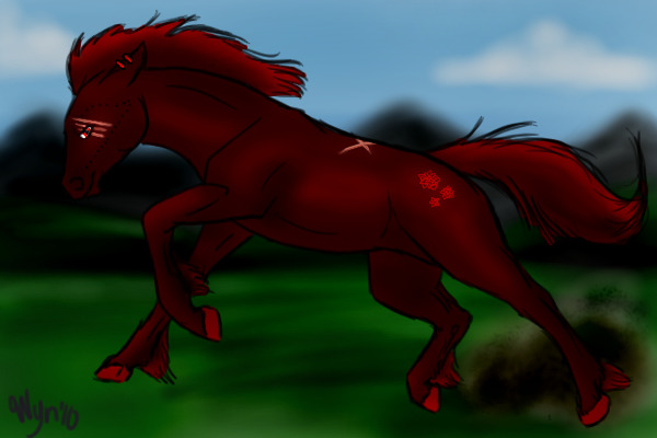 red beauty
