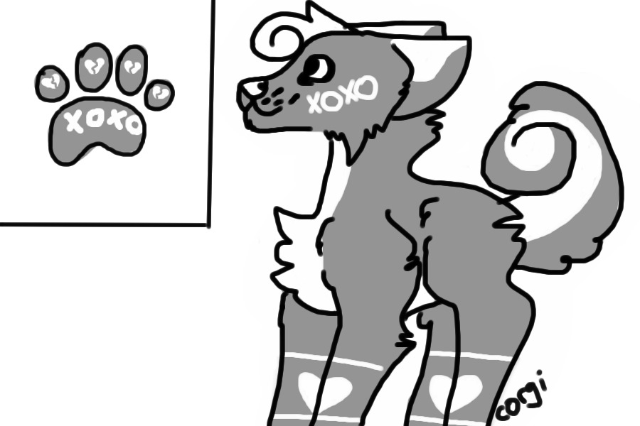Paw #5