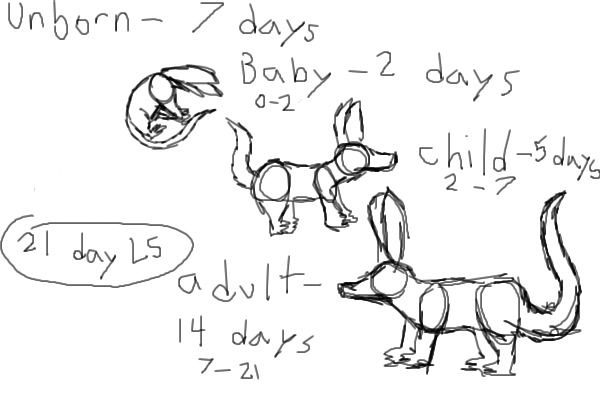 Life Span of an Aardvark