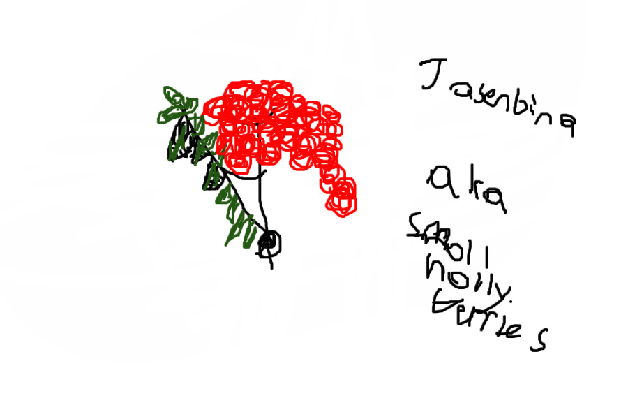 A plant called Jasenbina ( Smol berries in polish)    Help