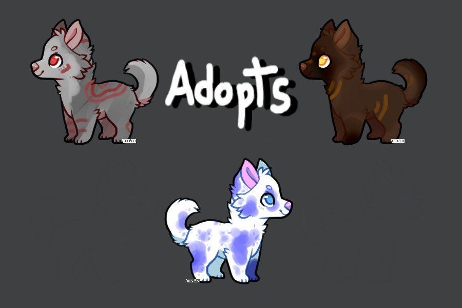 |Dog Adopts|
