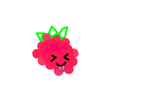 Rasberry sketch