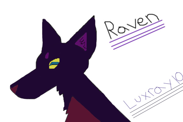 raven the akita inu