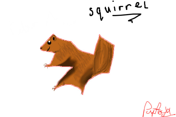 Squirrel
