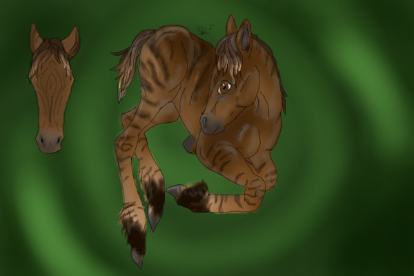 Zorse