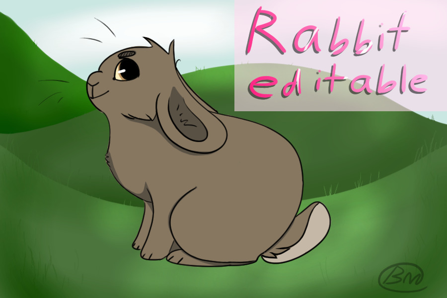 Rabbit Editable