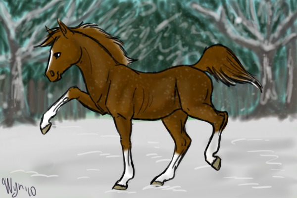Horse~