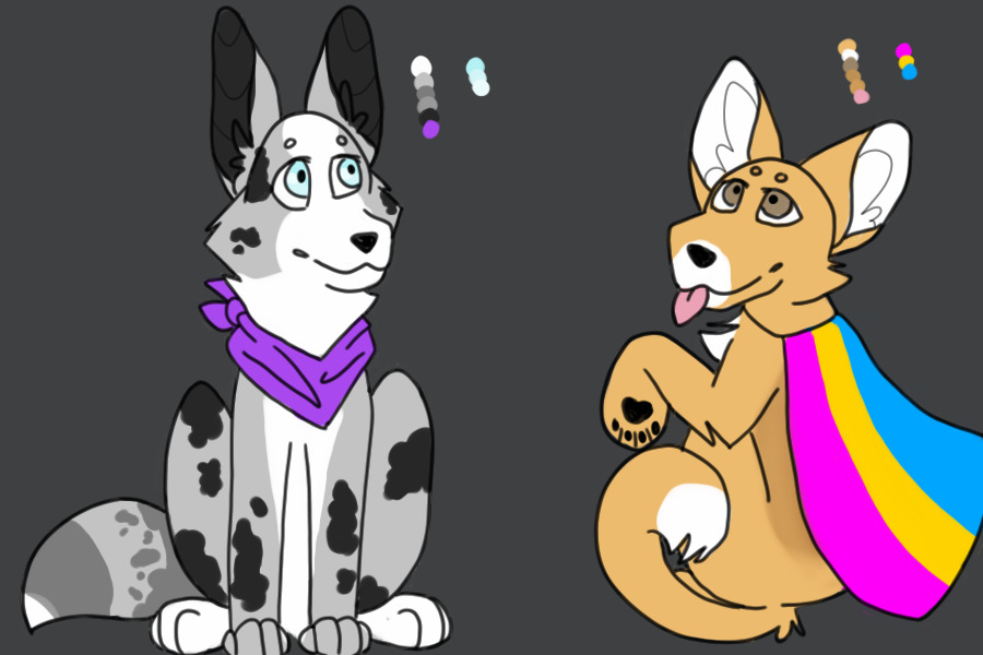 Pride Pups for cat4139