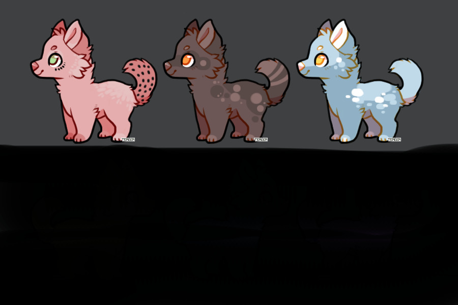 1C$ each. . . pup adopts !!!!