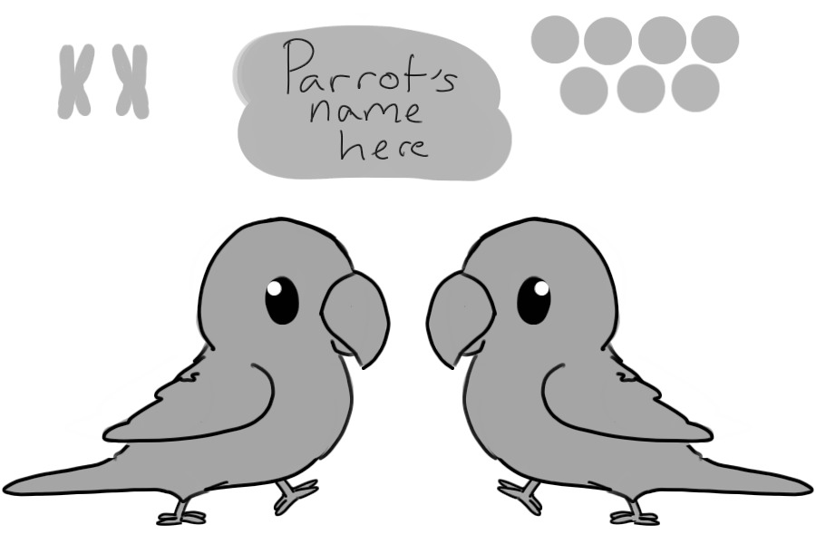 Parrot Reference Sheet - editable