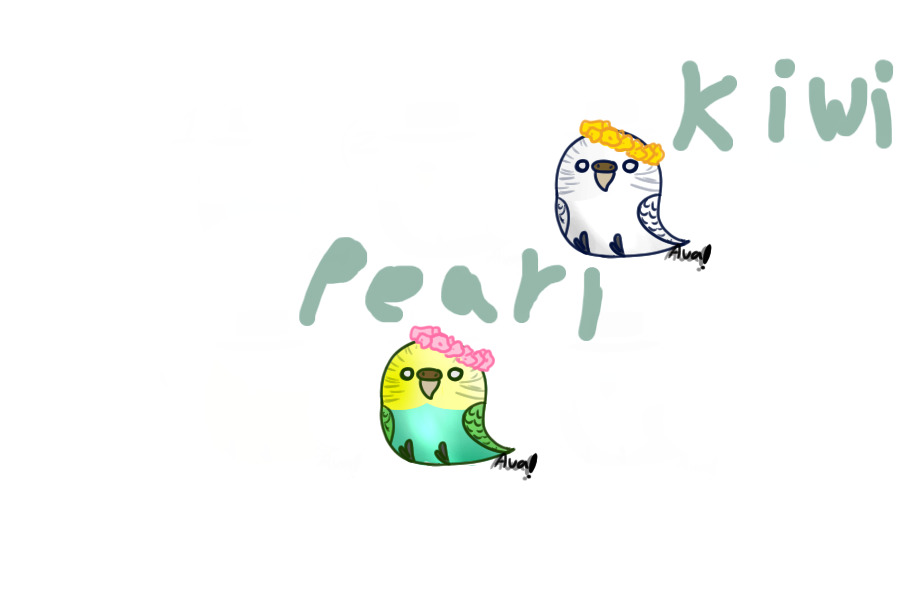 Kiwi And Pearl Ref