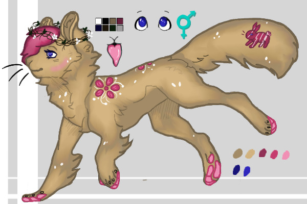 Another standard myo