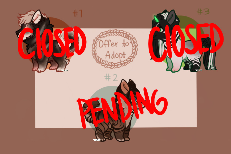 Offer to Adopt #2 - Tealea pups [CLOSED]
