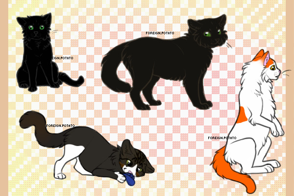 All of my IRL cats: UNFINISHED