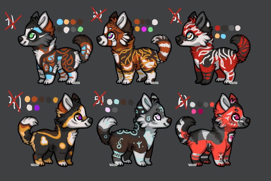 Doggo Adopts #4