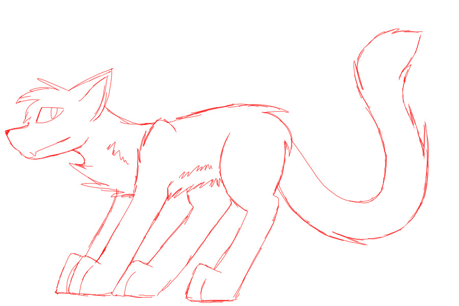 kitter